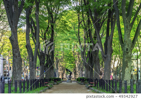 Joshu Temple Street of fresh green 49342927