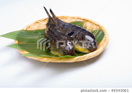 Mafugu Shinkawa pork Kawa pork 49343061