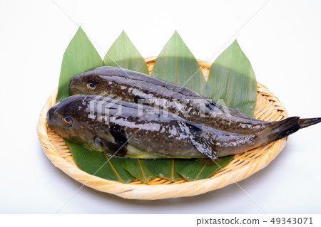 Mafugu Shinkawa豬肉Kawa豬肉 Mafugu Shinkawa豬肉Kawa豬肉 49343071