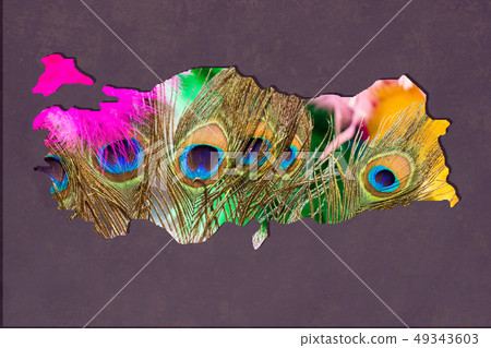 Roughly outlined map of Turkey with bird feather 49343603