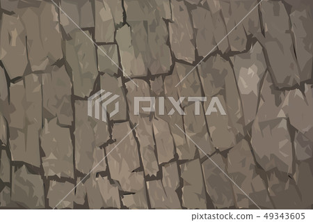 Cut tree stump surface as a background Cut tree stump surface as a background 49343605