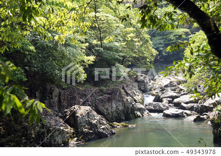 在山谷的新鮮綠色 49343978