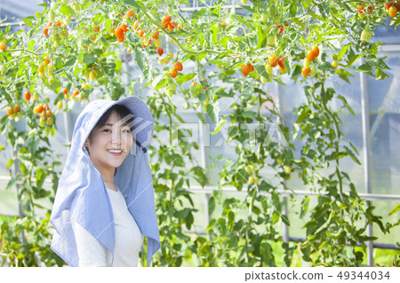 Tomato farmer woman Tomato farmer woman 49344034
