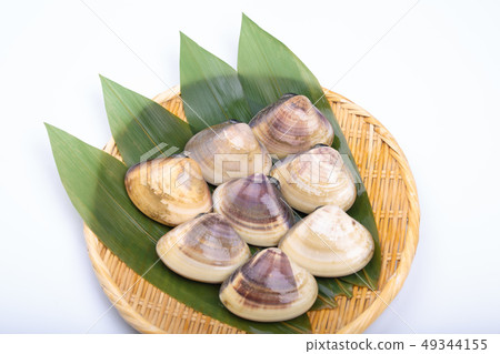 Clam shellfish Clam shellfish 49344155