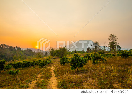 Beautiful scenery with sunlight.15 49345005