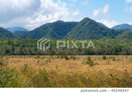 日光市栃木縣Senjogahara(九月) 日光市栃木縣Senjogahara(九月) 49346847