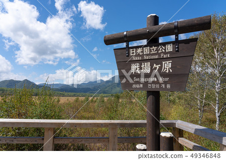 日光市栃木縣Senjogahara（九月） 49346848