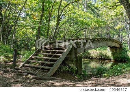 Nikko, Tochigi Oku Nikko Yukawa Akanuma Bridge (September) Nikko, Tochigi Oku Nikko Yukawa Akanuma Bridge (September) 49346857