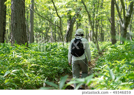 從Akanuma到Otadaihara Haiku的Nikko，Tochigi Oku Nikko（九月） 49346859