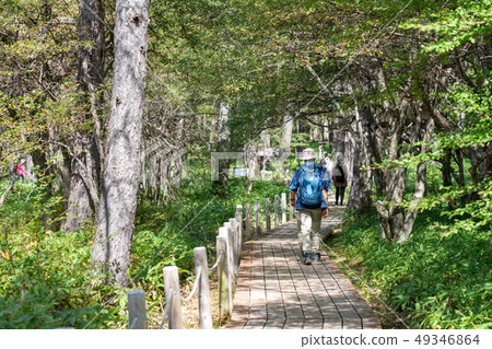 Nikko, Tochigi Oku Nikko Odashirohara Hike (September) 49346864