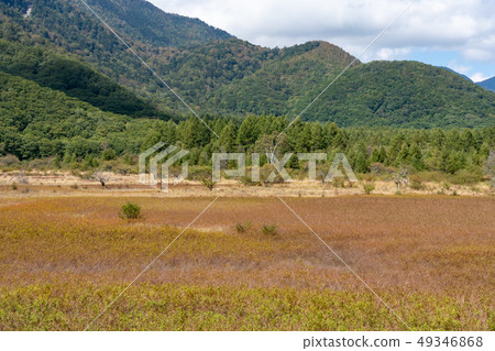 Nikko，Tochigi Oku Nikko Odashirohara女士（九月） 49346868