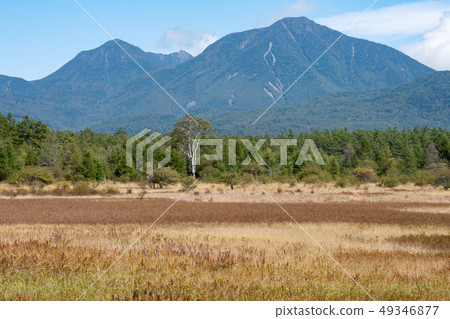 Nikko，Tochigi Oku Nikko Odashirohara女士（九月） 49346877