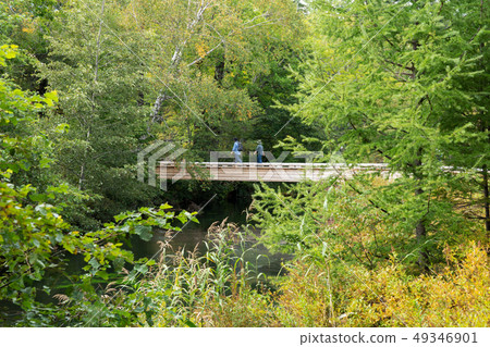 日光市栃木縣森hara原Aokibashi（九月） 49346901