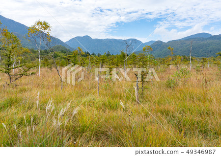 Tochigi Prefecture Nikko City Senjogahara (September) 49346987