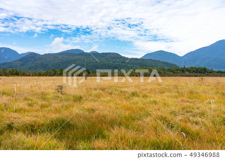 Tochigi Prefecture Nikko City Senjogahara (September) 49346988