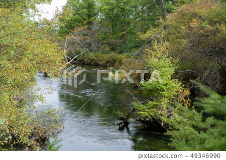 Yukawa, Nikko City, Tochigi Prefecture (September) Yukawa, Nikko City, Tochigi Prefecture (September) 49346990