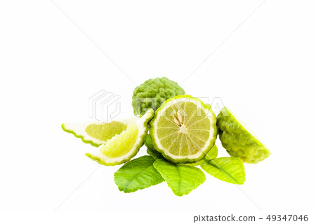 Bergamot fruit and leaves isolated on white 49347046
