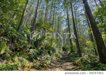 Kumano Kodo Middle Road 49347463