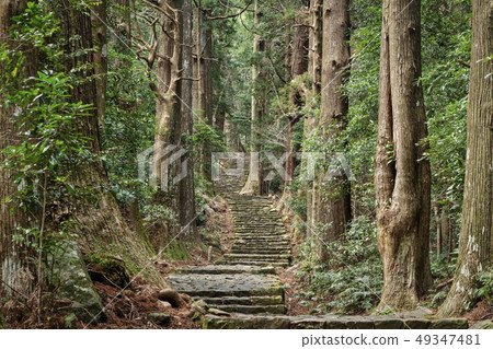 Kumano Kodo Nachi Daimon Kumano Kodo Nachi Daimon 49347481