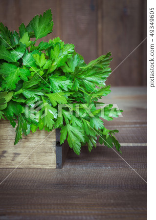 Fresh parsley in tray on dark rustic board.  49349605