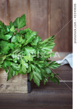 Fresh parsley in tray on dark rustic board. 49349606