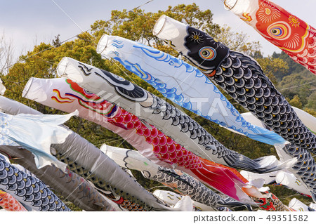 [Saga Prefecture] A streamer of Kawakami Gorge 49351582