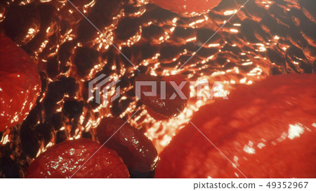 Red blood cells in vein or artery, flow inside inside a living organism. Responsible for oxygen Red blood cells in vein or artery, flow inside inside a living organism. Responsible for oxygen 49352967