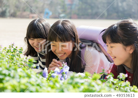小學生花床花 49353613