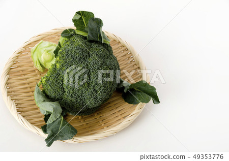 西蘭花 西蘭花 49353776