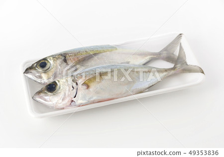 馬鮫魚，toppak，gachu（包裝） 49353836