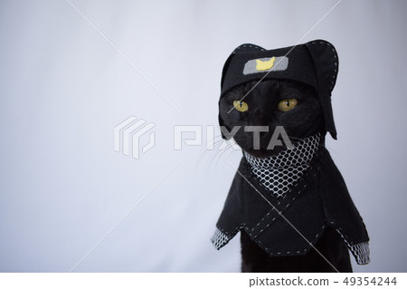 Pictures of black cats playing cosplay (Ninja) 49354244