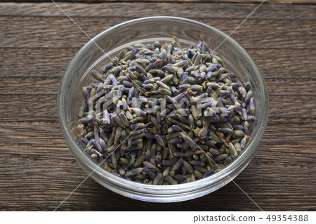 «Herb» Lavender 49354388
