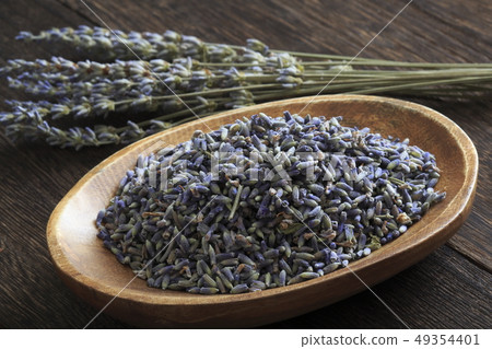«Herb» Lavender «Herb» Lavender 49354401