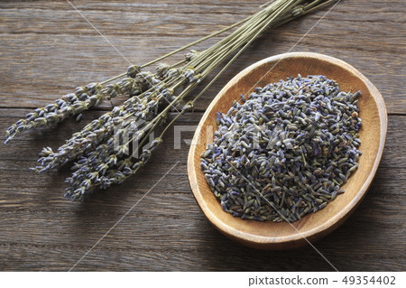 «香草»薰衣草 «香草»薰衣草 49354402