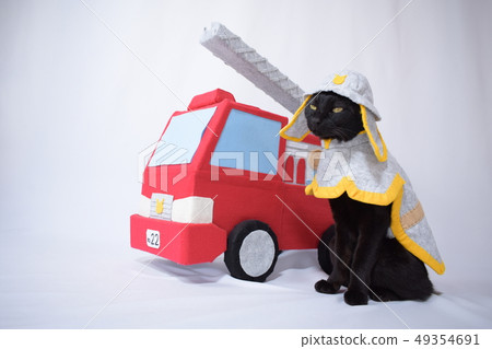 Photograph of a black cat doing cosplay (firefighter) 49354691