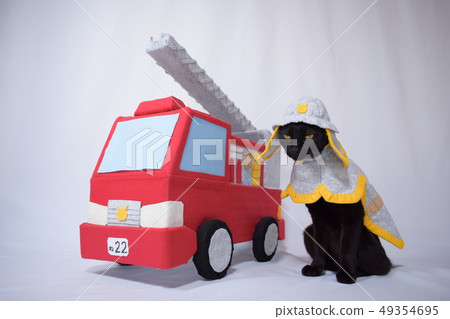 Photograph of a black cat doing cosplay (firefighter) Photograph of a black cat doing cosplay (firefighter) 49354695