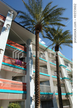 Las Vegas, Nevada, United States 49355602