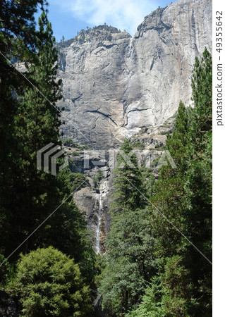Yosemite, California, United States 49355642
