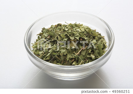 «Herb» Lemon Verbena «Herb» Lemon Verbena 49360251