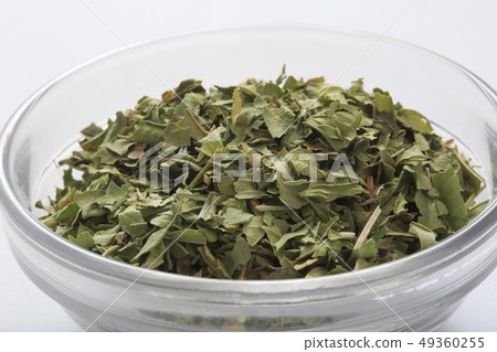 «草本»檸檬馬鞭草 «草本»檸檬馬鞭草 49360255