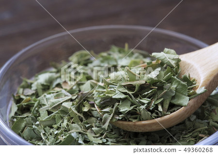 «Herb» Lemon Verbena «Herb» Lemon Verbena 49360268