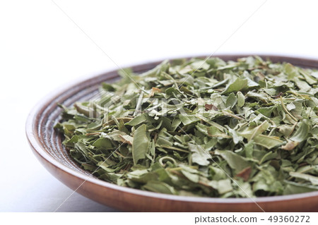 «Herb» Lemon Verbena «Herb» Lemon Verbena 49360272