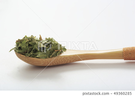 «Herb» Lemon Verbena «Herb» Lemon Verbena 49360285