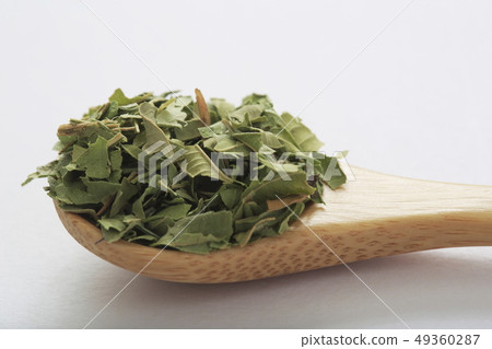 «Herb» Lemon Verbena 49360287
