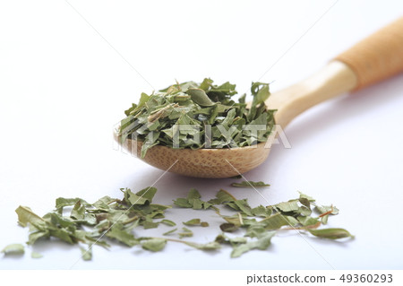«Herb» Lemon Verbena «Herb» Lemon Verbena 49360293