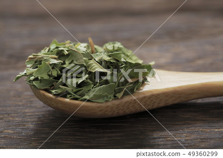 «草本»檸檬馬鞭草 «草本»檸檬馬鞭草 49360299