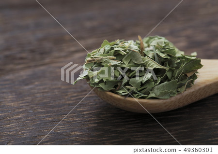 «草本»檸檬馬鞭草 49360301