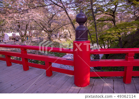 Aomori Hirosaki Castle flower buds Cherry blossom petals floating on a coffin Aomori Hirosaki Castle flower buds Cherry blossom petals floating on a coffin 49362114