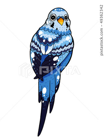 Bird 49362342