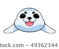 Baby seals 49362344